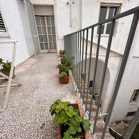 Apartment Lux House