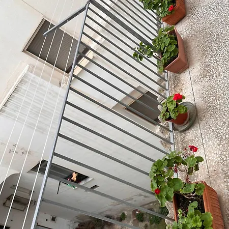 Apartment Lux House